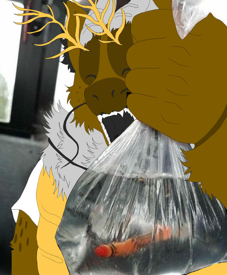 Wintertine, November 2025